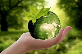 Lansare campanie de ecologizare I